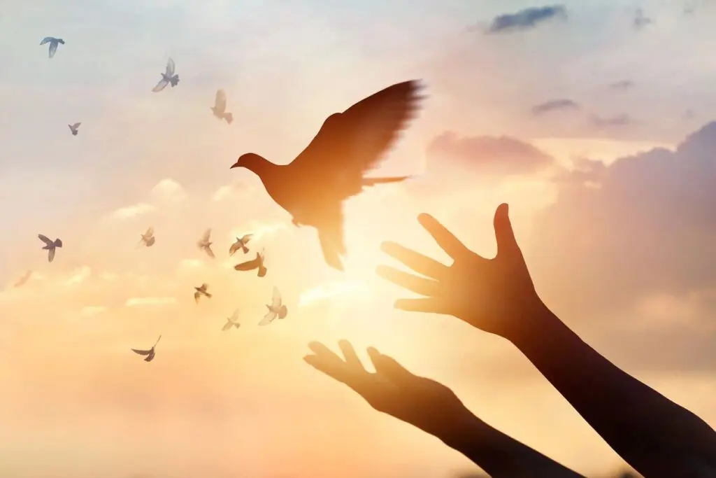 A person 's hands reaching toward the sky as birds fly overhead.